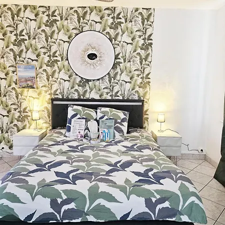 Sauna Et Cosy 50m De La Avec Parking Privé