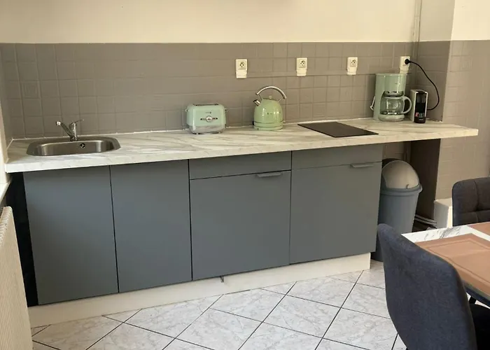 Sauna Et Cosy 50m De La Avec Parking Prive *