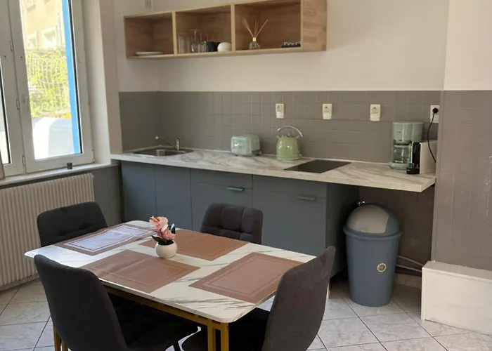 Apartment Sauna Et Cosy 50m De La Avec Parking Prive